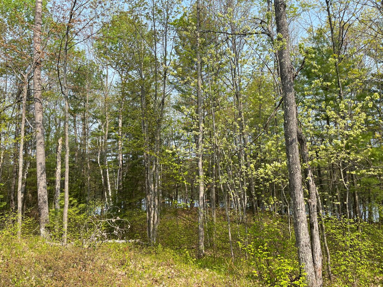 2.67-ac Cobblestone Way Rhinelander, WI 54501 - Photo 7 of 12 Gallery Image 7