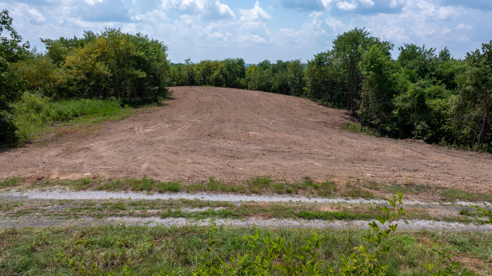 555 New Era Bluff Road Linden, TN 37096 - Photo 16 of 64 a view of a outdoor space