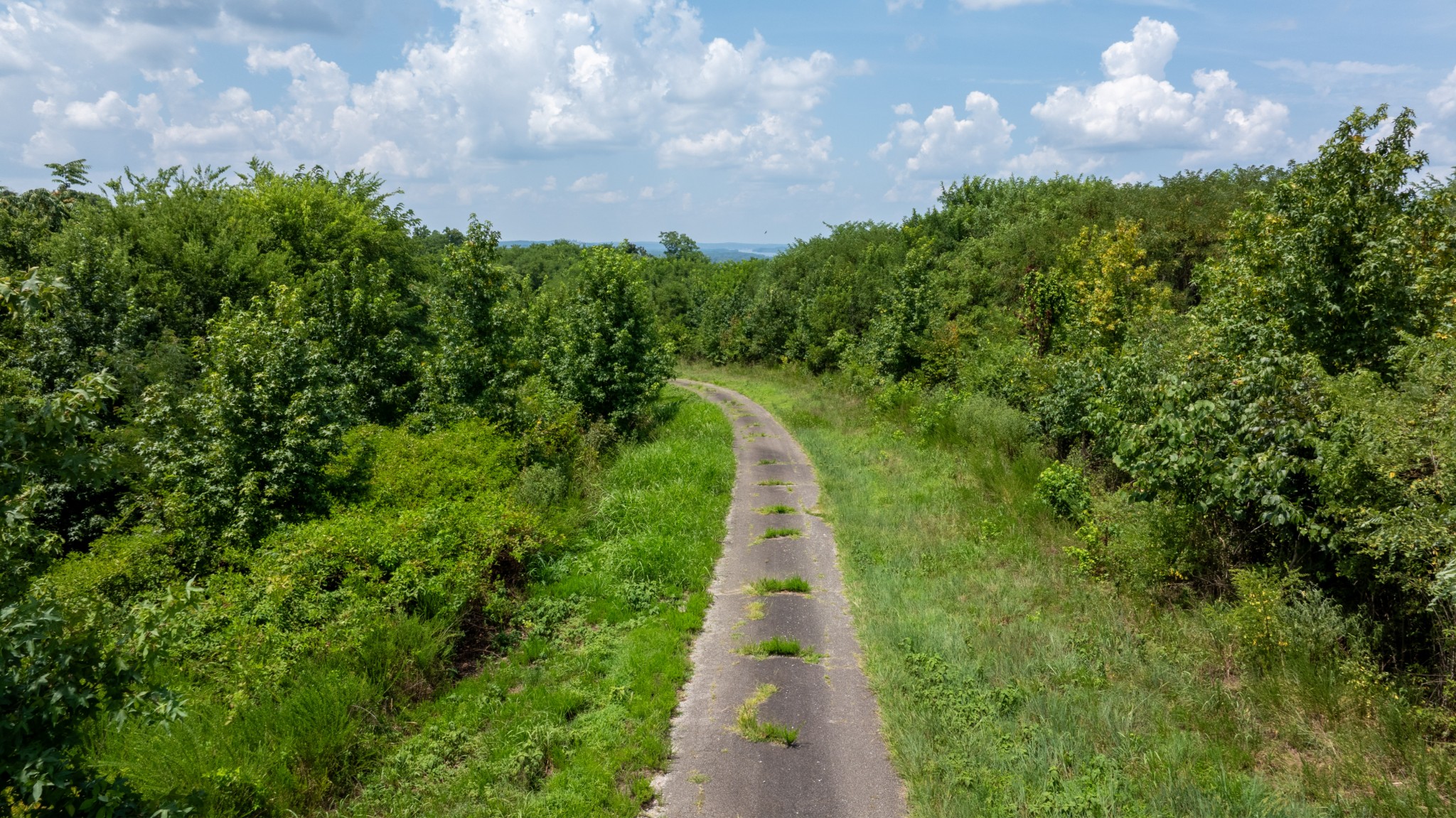 555 New Era Bluff Road Linden, TN 37096 - Photo 17 of 64 a view of a pathway both side of building