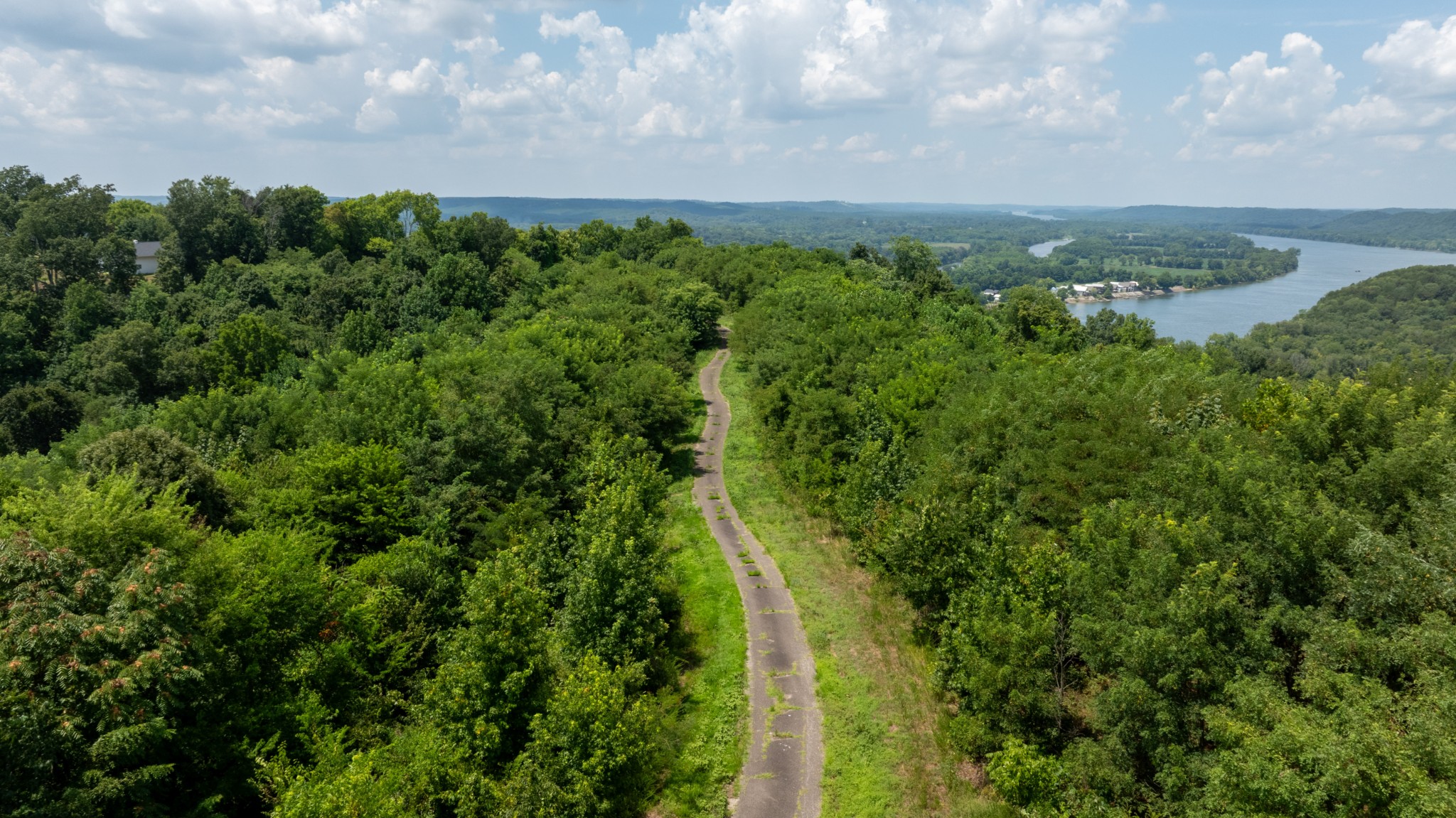 555 New Era Bluff Road Linden, TN 37096 - Photo 18 of 64 a view of a green field with lots of bushes