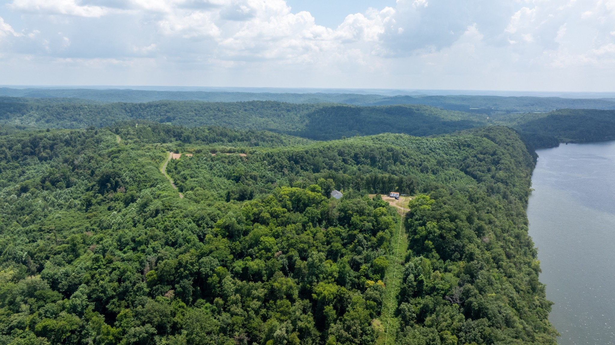 555 New Era Bluff Road Linden, TN 37096 - Photo 20 of 64 a view of a green field with lots of bushes