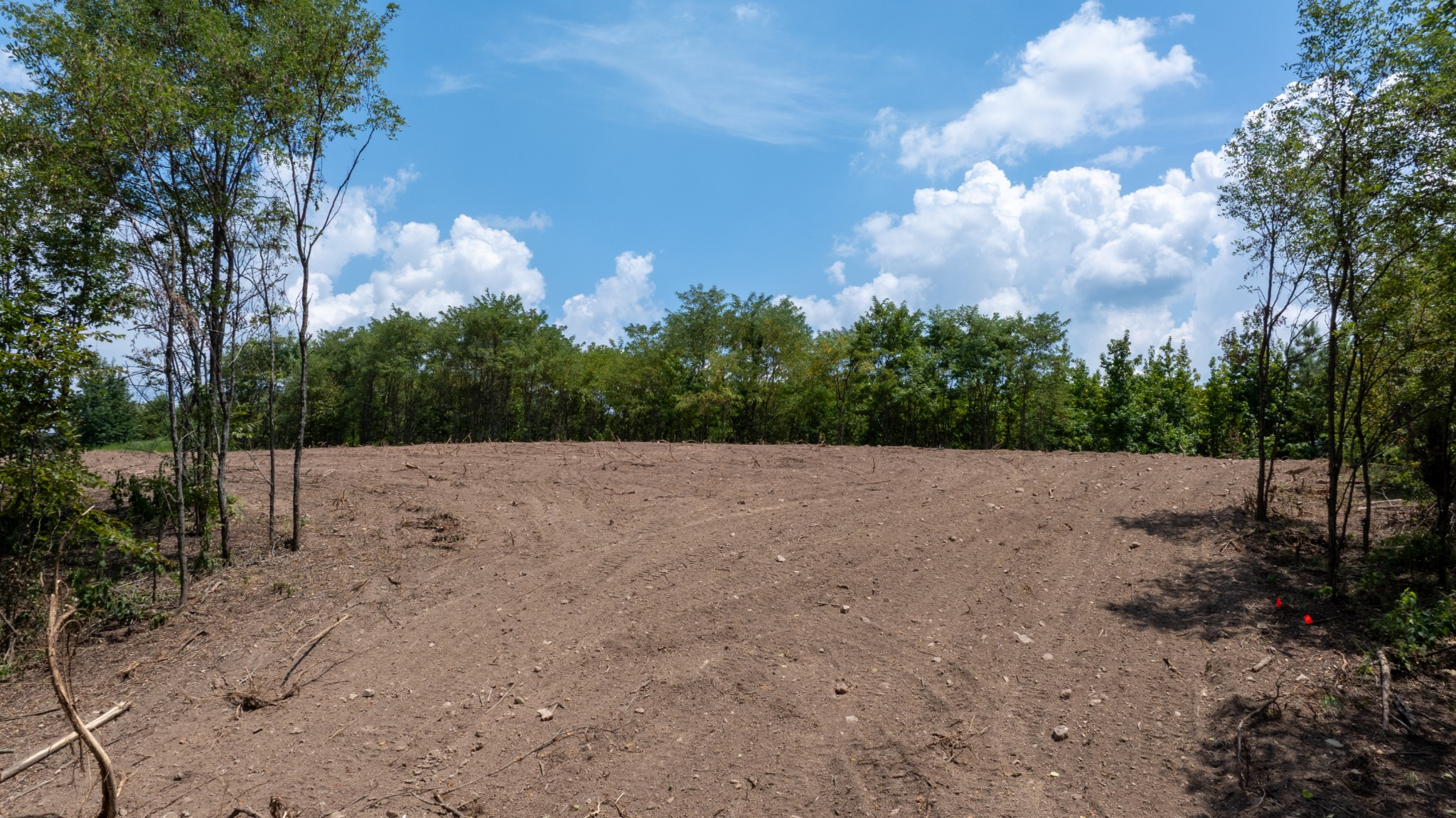 555 New Era Bluff Road Linden, TN 37096 - Photo 2 of 64 a view of a dry yard covered with trees