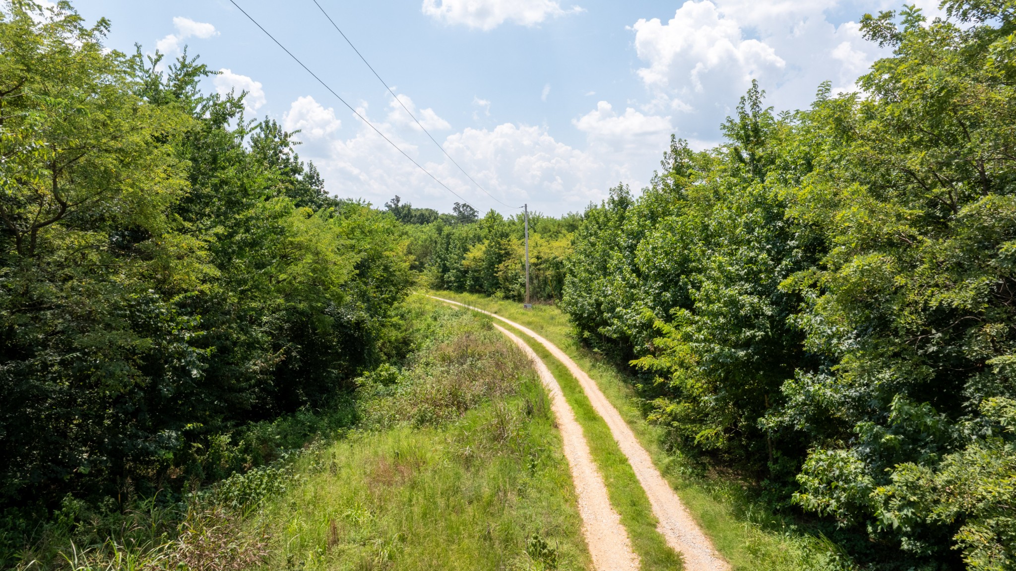 555 New Era Bluff Road Linden, TN 37096 - Photo 25 of 64 a view of a yard