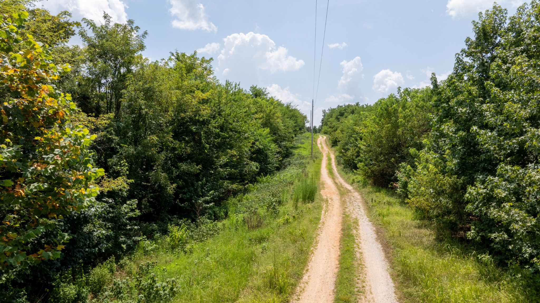 555 New Era Bluff Road Linden, TN 37096 - Photo 28 of 64 a view of a yard with plants