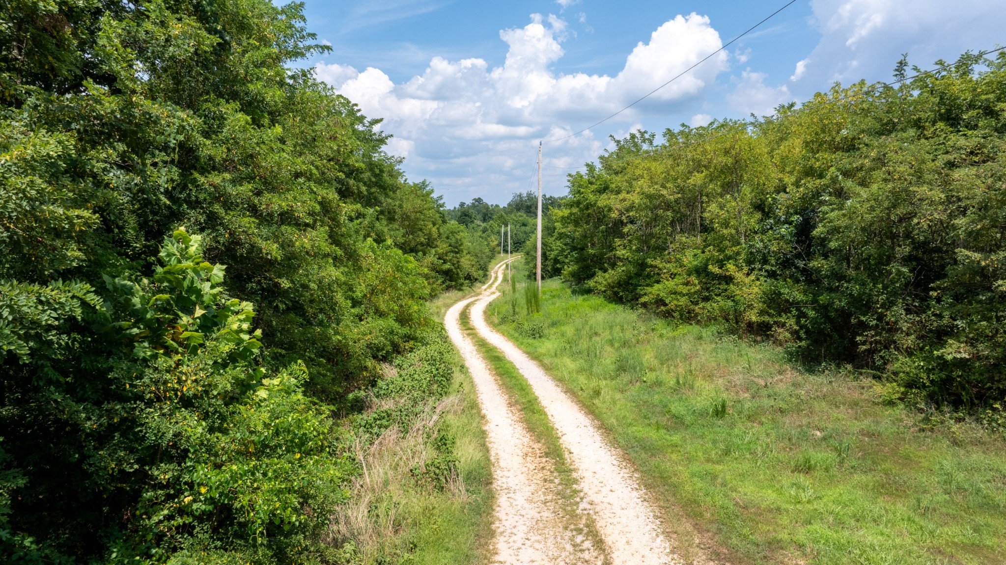 555 New Era Bluff Road Linden, TN 37096 - Photo 30 of 64 a view of a yard with plants