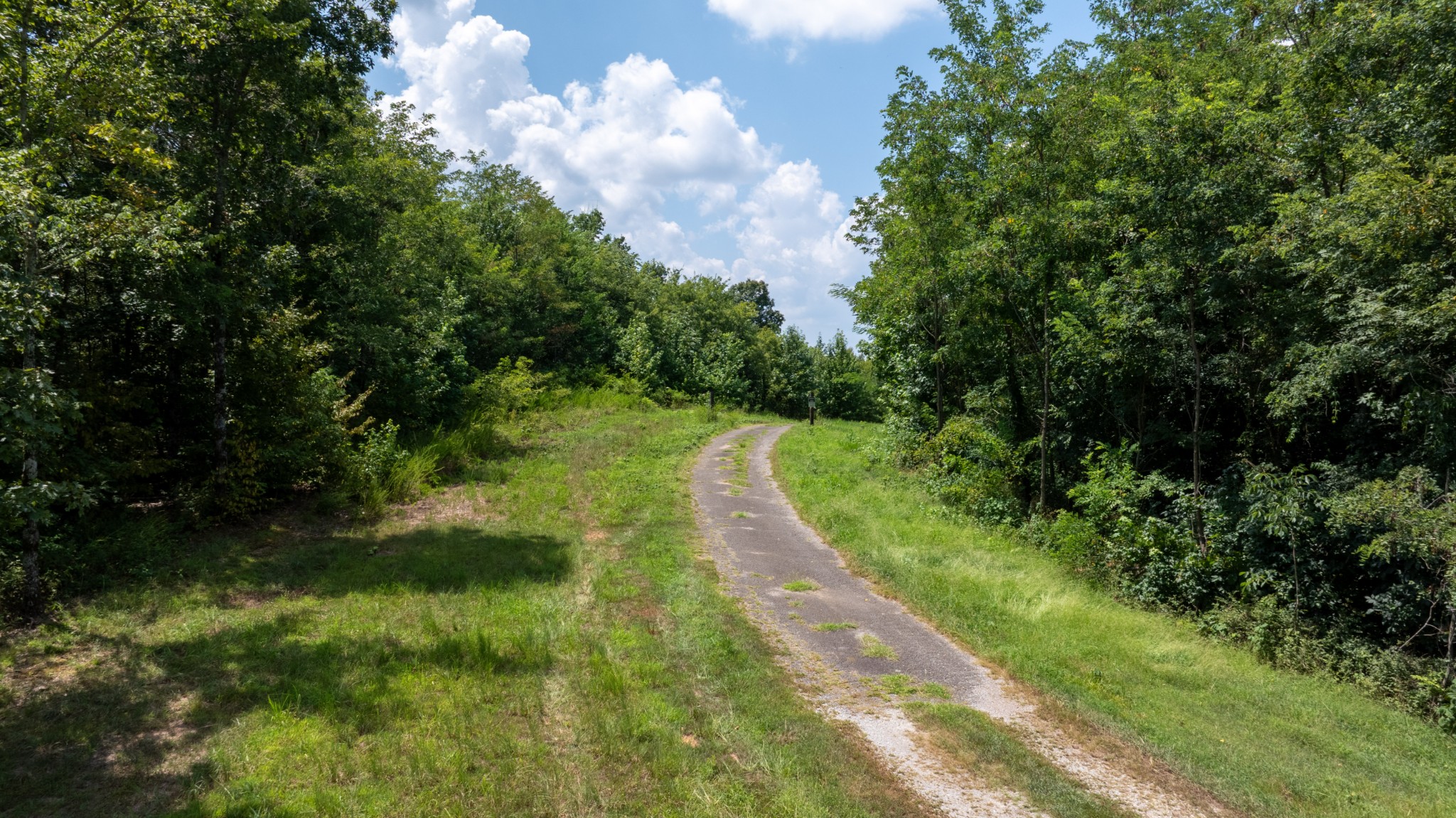 555 New Era Bluff Road Linden, TN 37096 - Photo 32 of 64 a view of a pathway both side of yard
