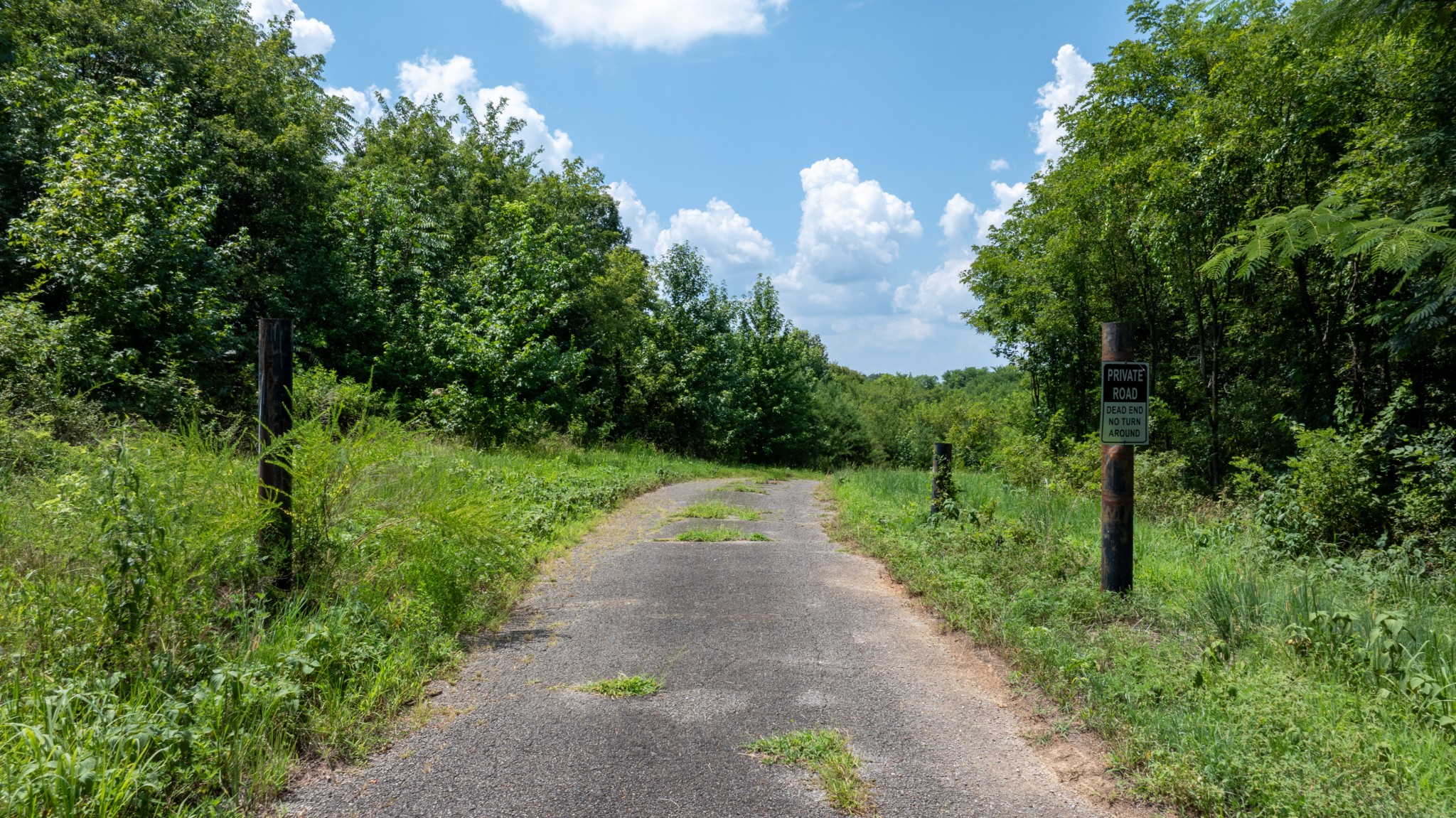 555 New Era Bluff Road Linden, TN 37096 - Photo 33 of 64 a view of a pathway both side of green field