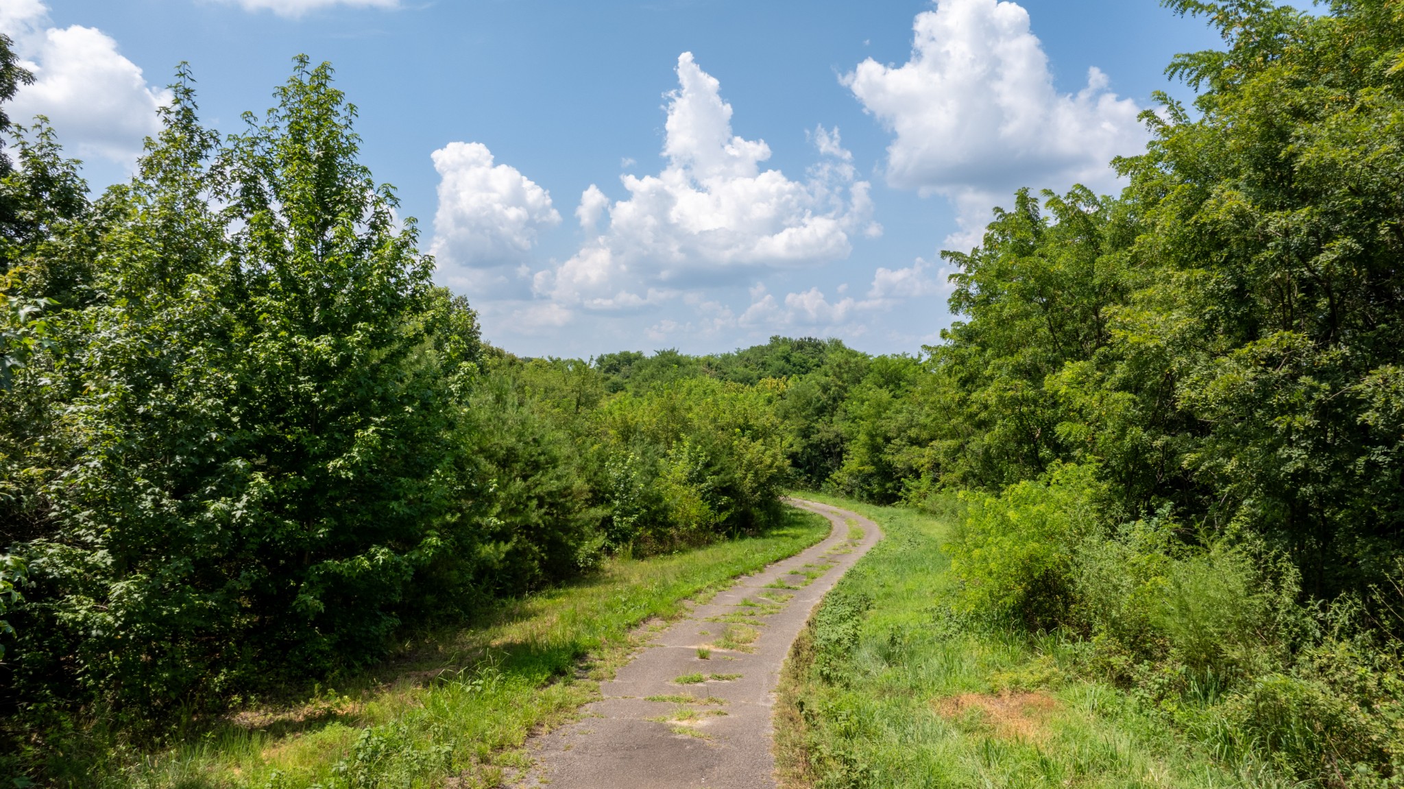 555 New Era Bluff Road Linden, TN 37096 - Photo 34 of 64