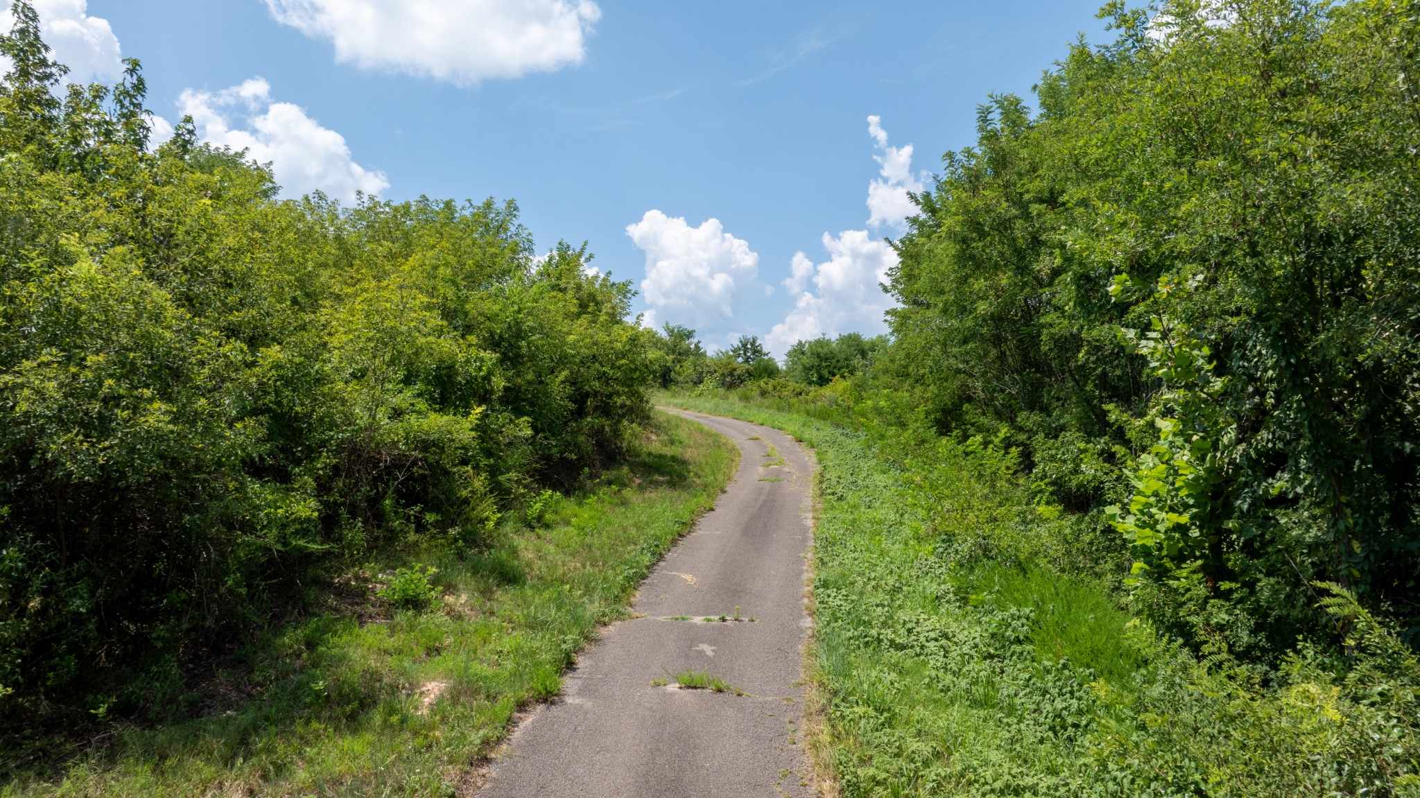 555 New Era Bluff Road Linden, TN 37096 - Photo 36 of 64 a view of a pathway both side of yard