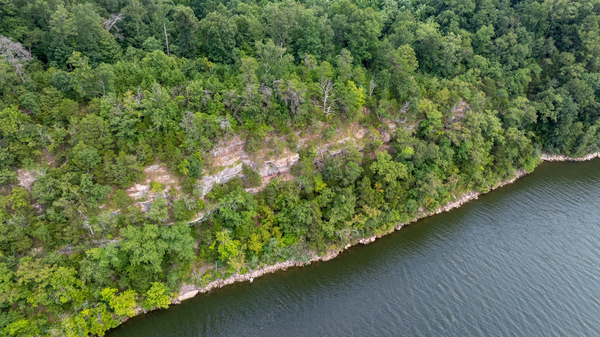 555 New Era Bluff Road Linden, TN 37096 - Photo 39 of 64