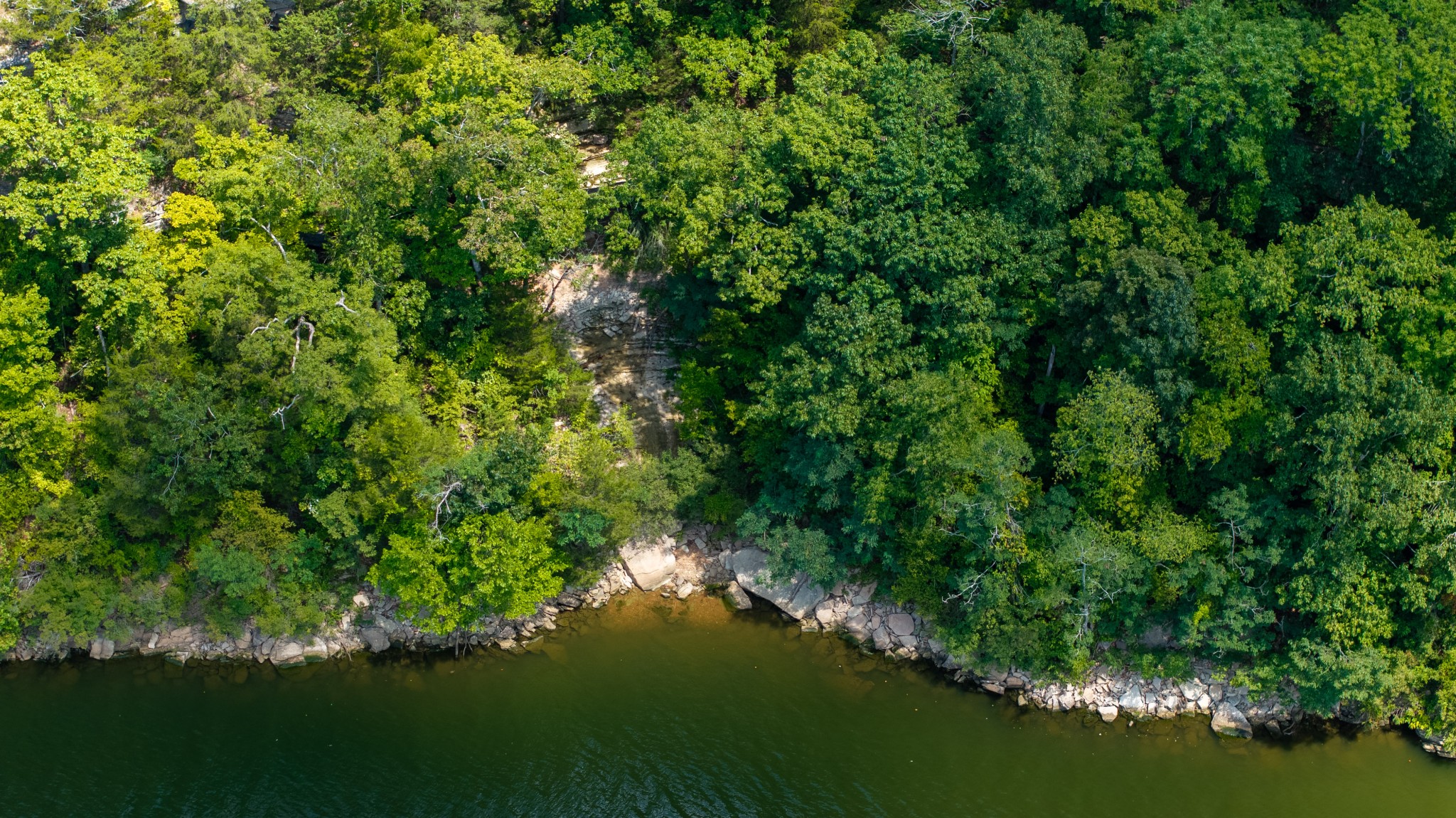 555 New Era Bluff Road Linden, TN 37096 - Photo 42 of 64