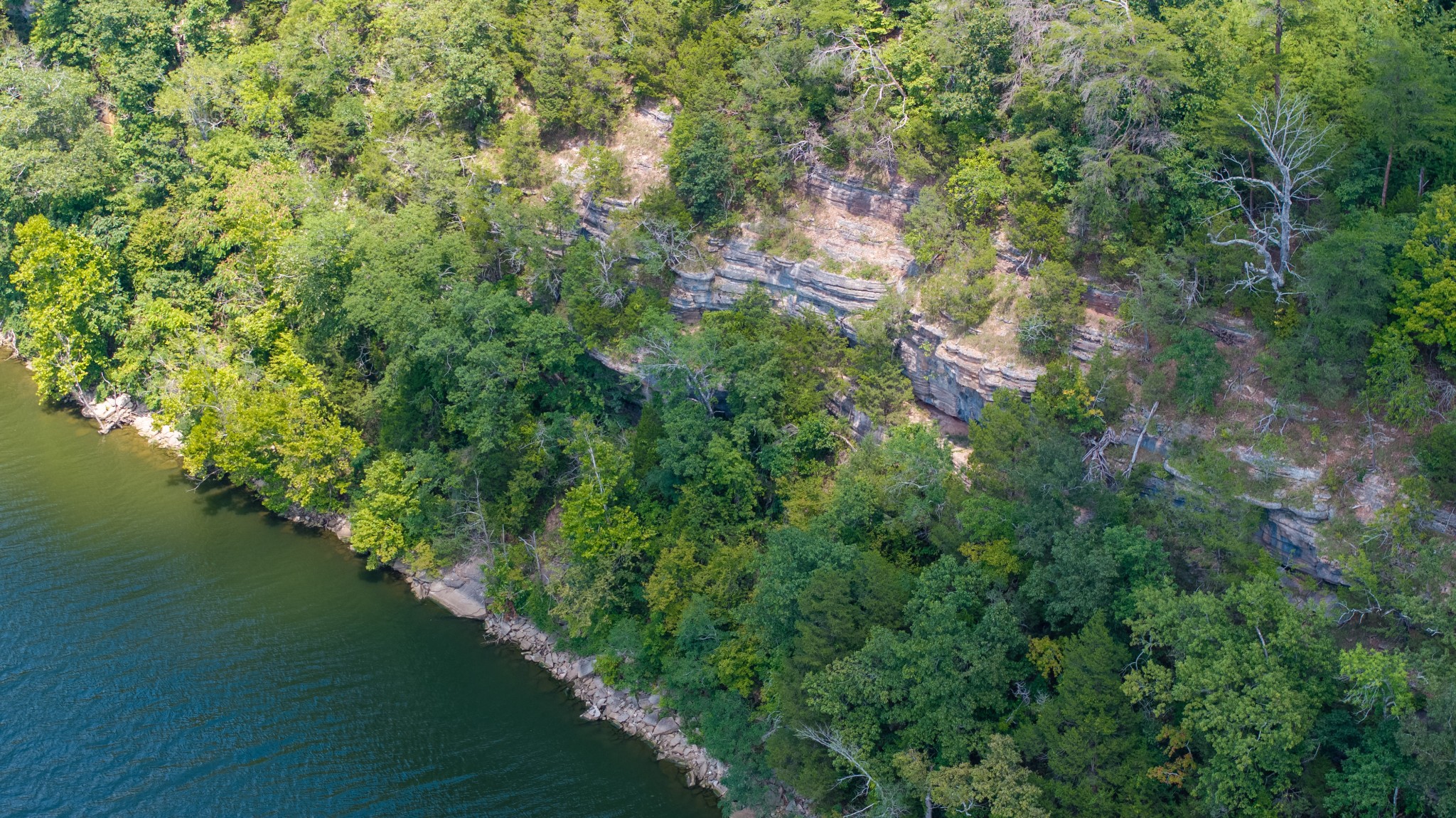 555 New Era Bluff Road Linden, TN 37096 - Photo 44 of 64 a view of a lake with green space