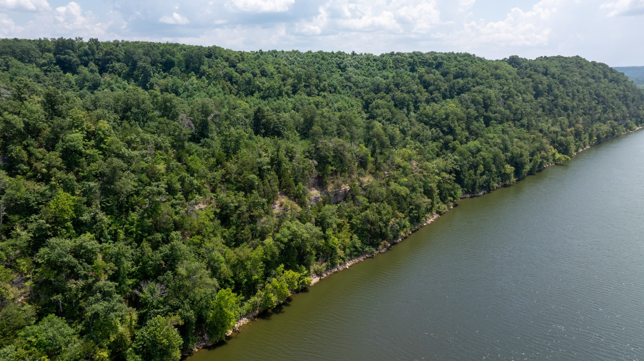 555 New Era Bluff Road Linden, TN 37096 - Photo 5 of 64 a view of a large body of water with a large tree