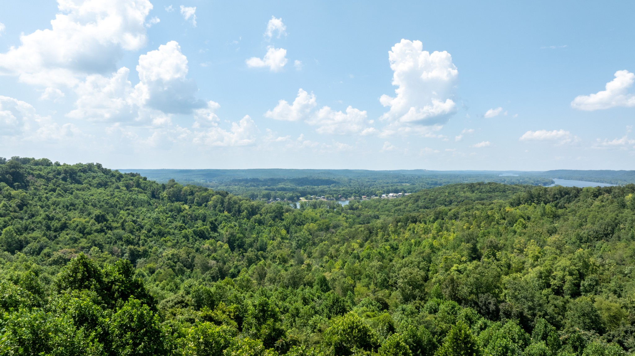 555 New Era Bluff Road Linden, TN 37096 - Photo 52 of 64 a view of a large green field