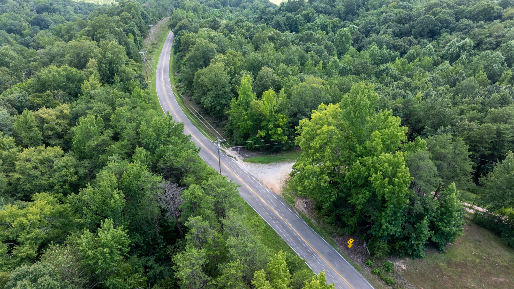555 New Era Bluff Road Linden, TN 37096 - Photo 55 of 64 a close up of a plant in a garden
