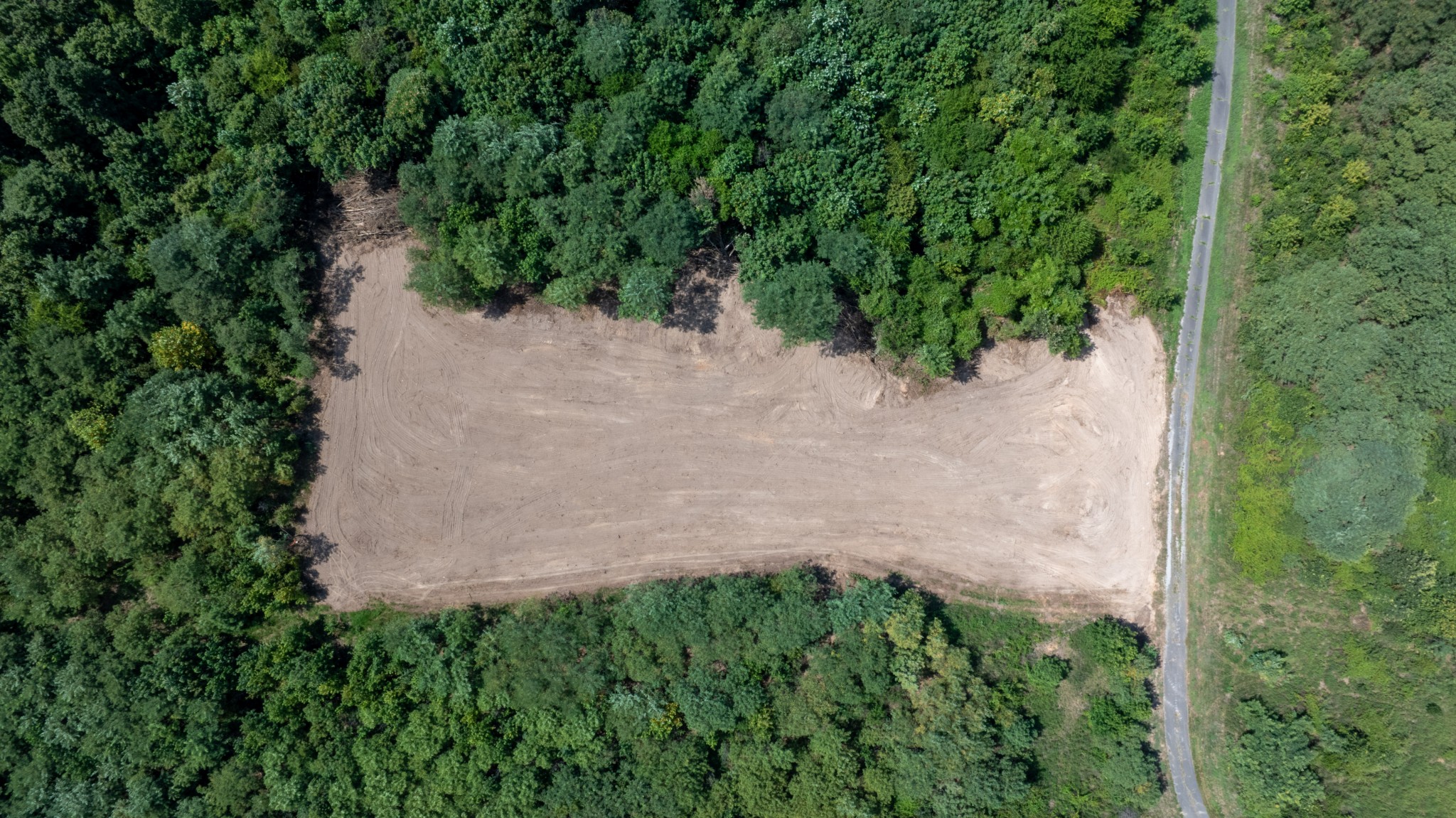 555 New Era Bluff Road Linden, TN 37096 - Photo 58 of 64 a view of a yard with plants and a small yard