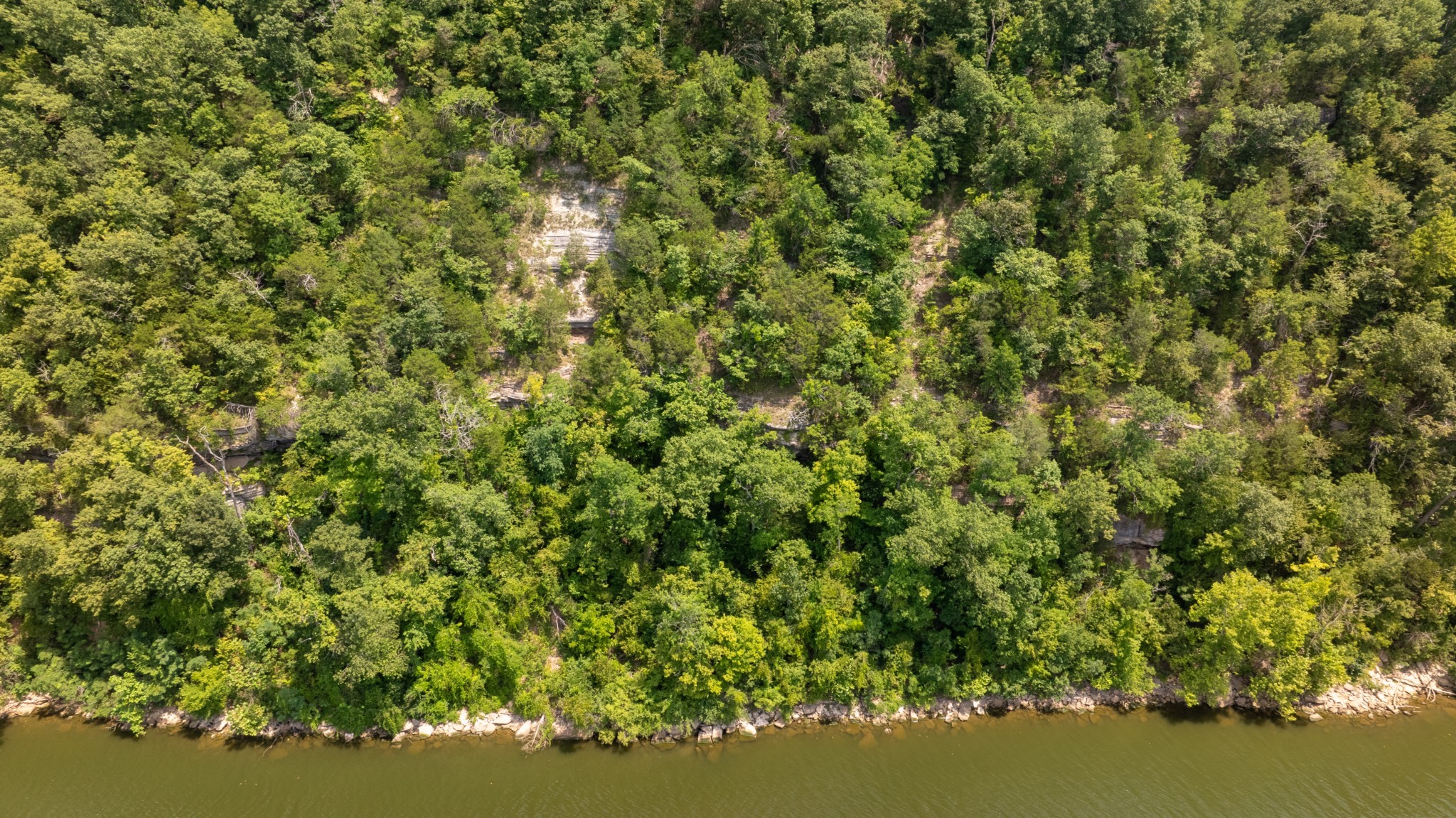 555 New Era Bluff Road Linden, TN 37096 - Photo 6 of 64