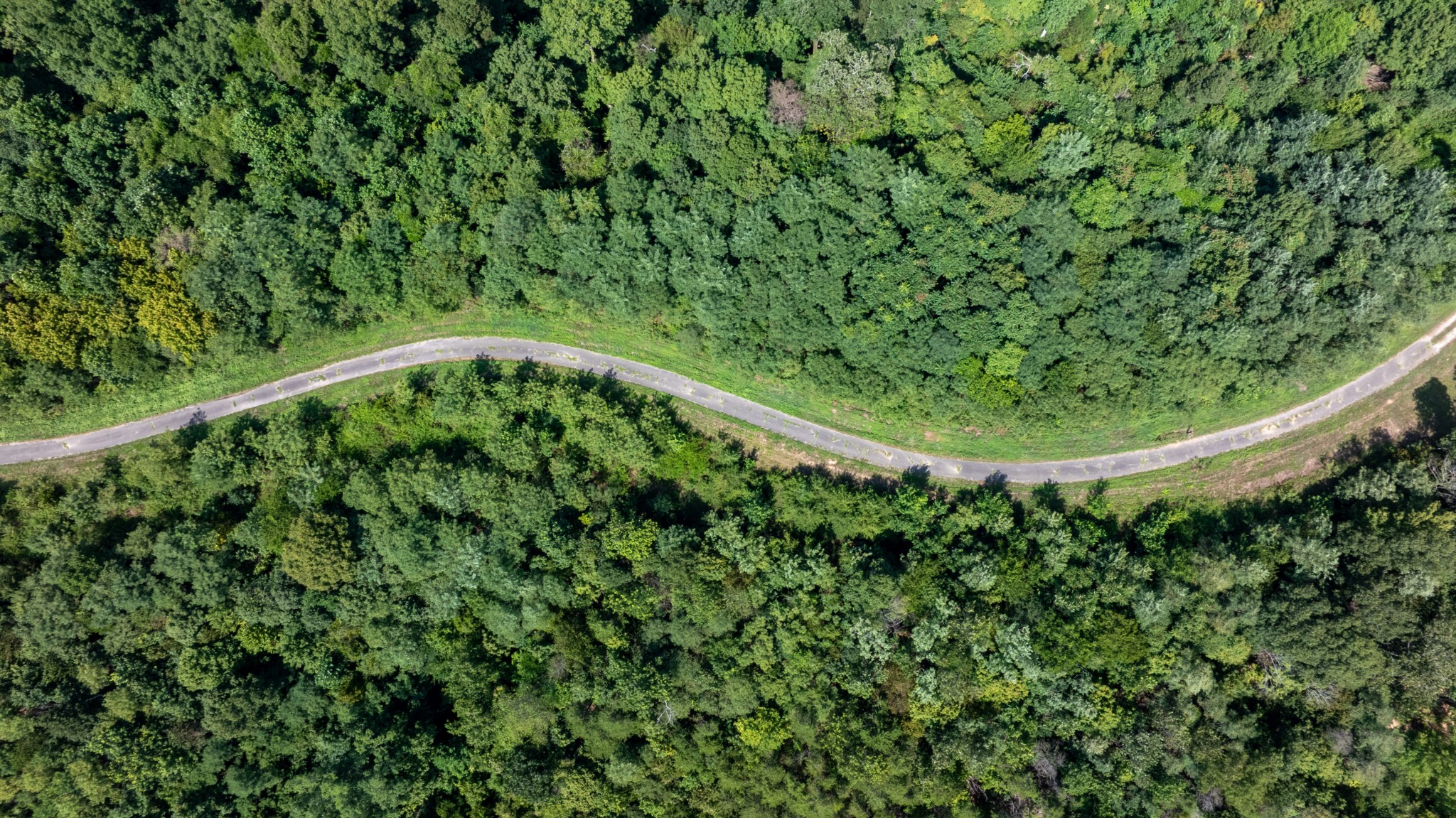 555 New Era Bluff Road Linden, TN 37096 - Photo 61 of 64