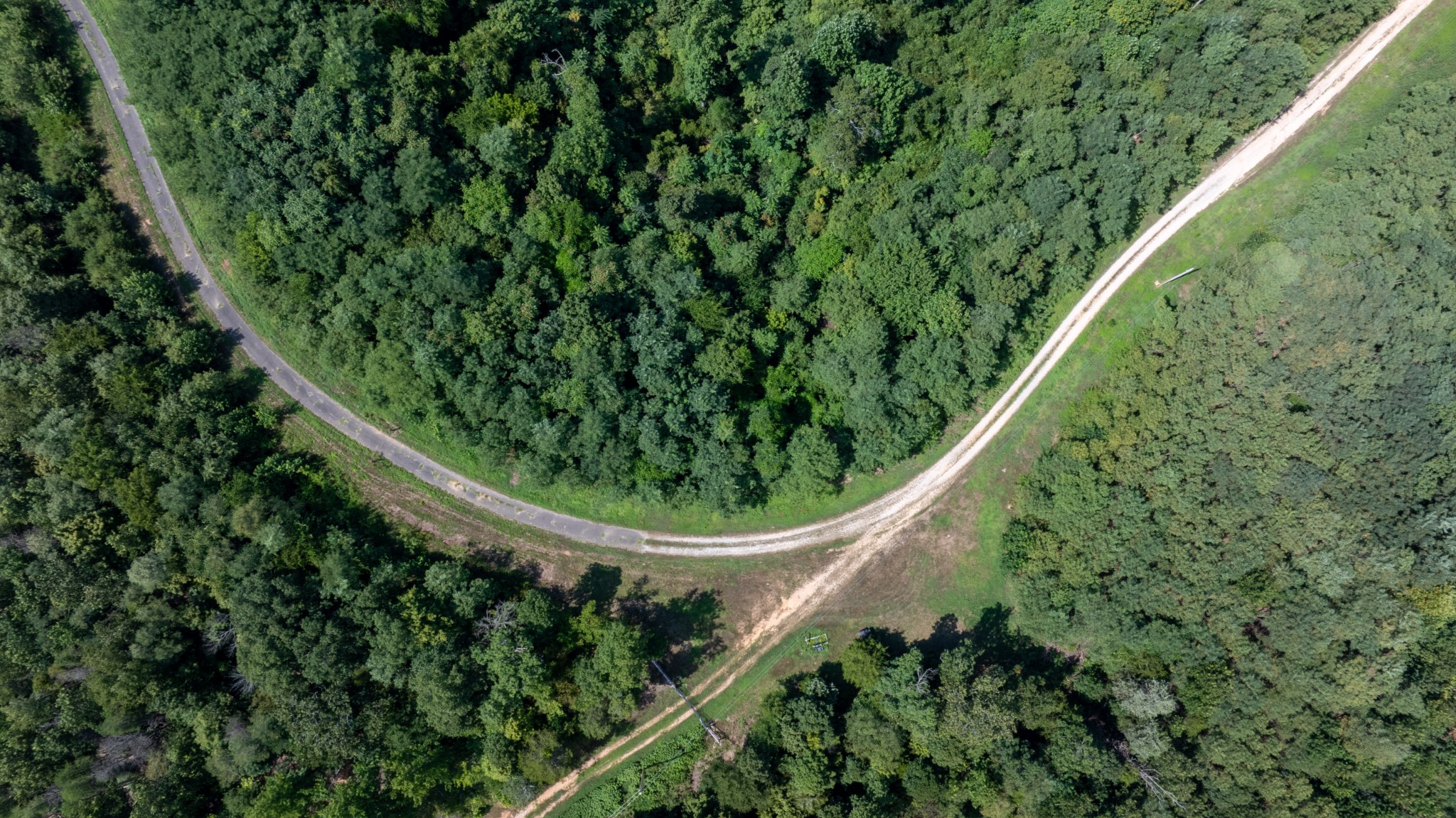 555 New Era Bluff Road Linden, TN 37096 - Photo 62 of 64 a view of a yard with plants
