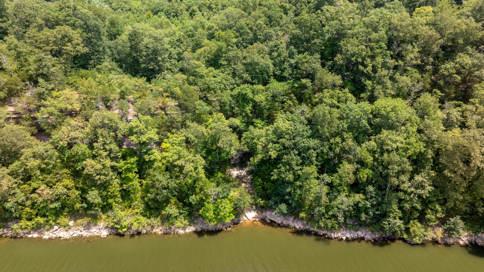 555 New Era Bluff Road Linden, TN 37096 - Photo 7 of 64 a view of a lake from a yard
