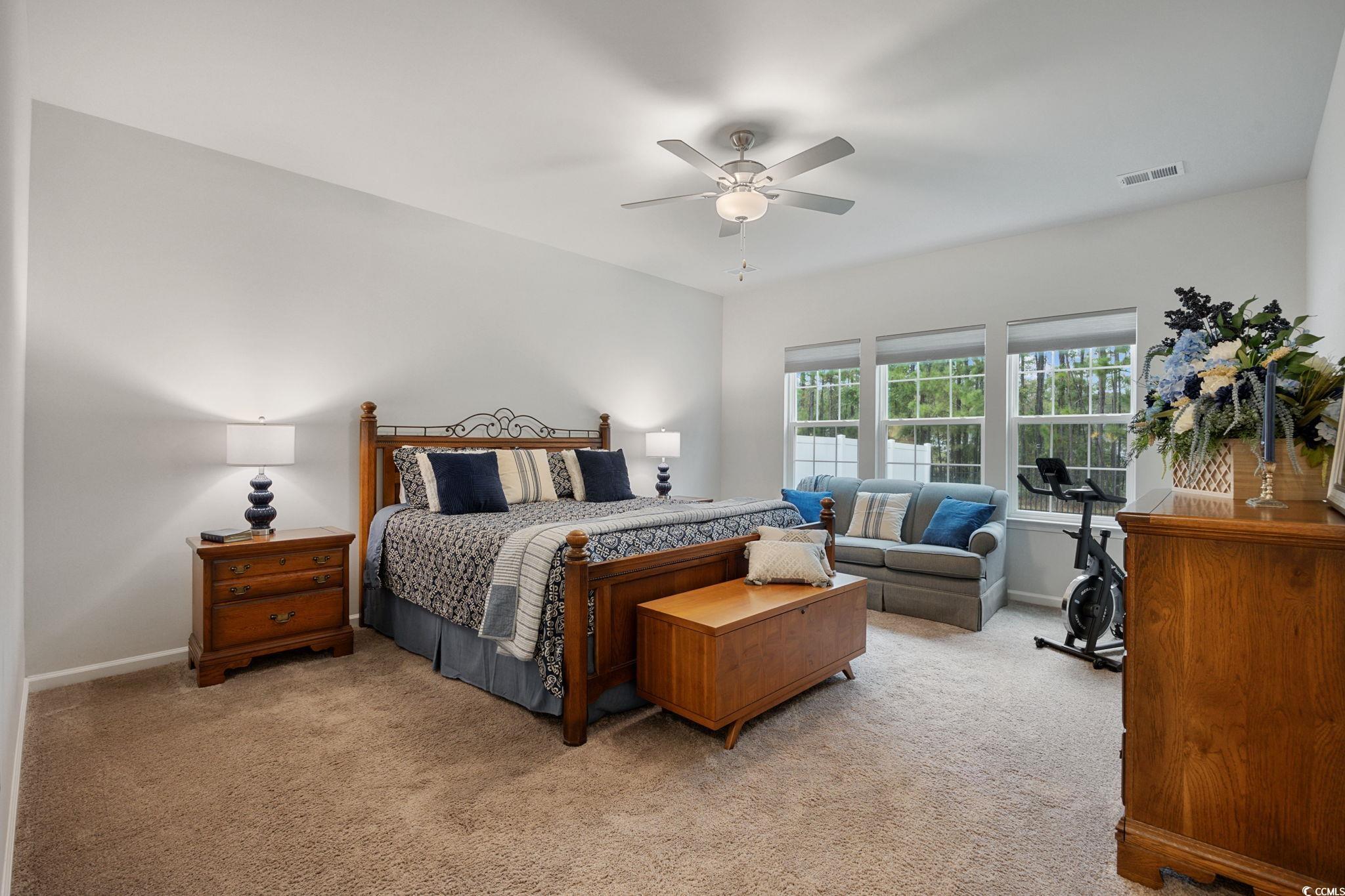 544 Fanciful Way Myrtle Beach, SC 29588 - Photo 17 of 41