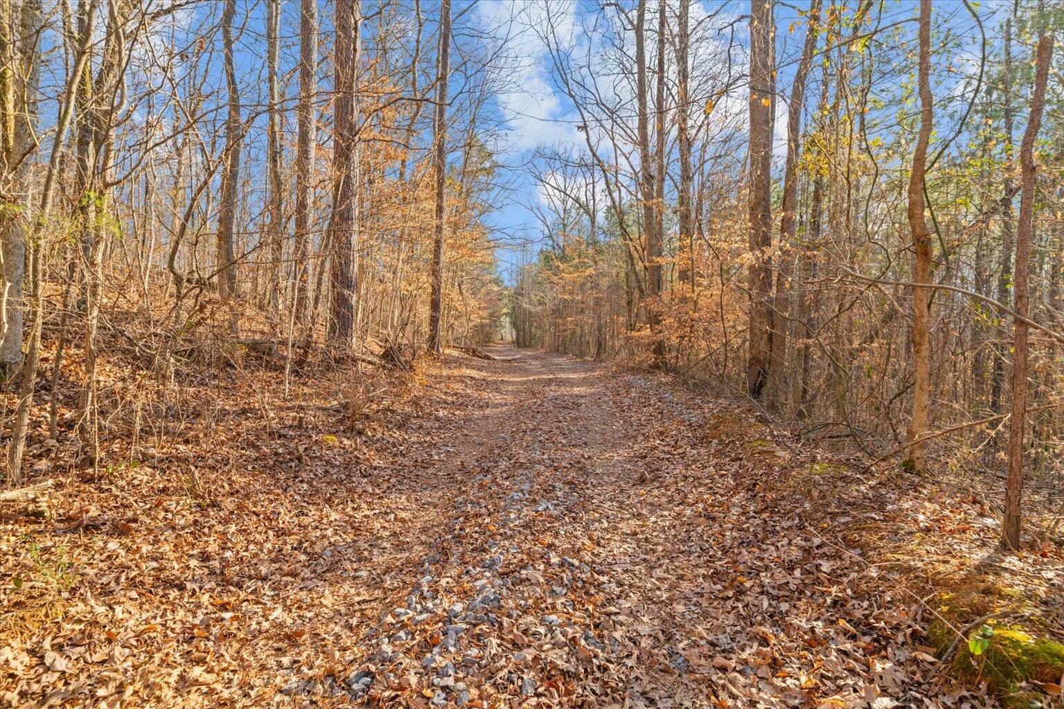 0 Cherokee Drive Northeast Dalton, GA 30721 - Photo 11 of 36 11-DSC03806
