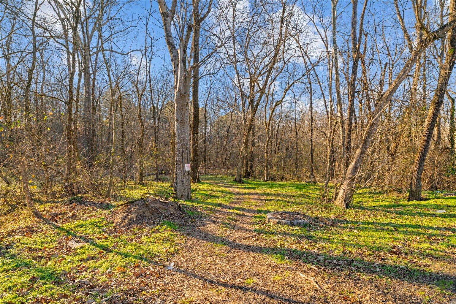 0 Cherokee Drive Northeast Dalton, GA 30721 - Photo 16 of 36 16-DSC03861
