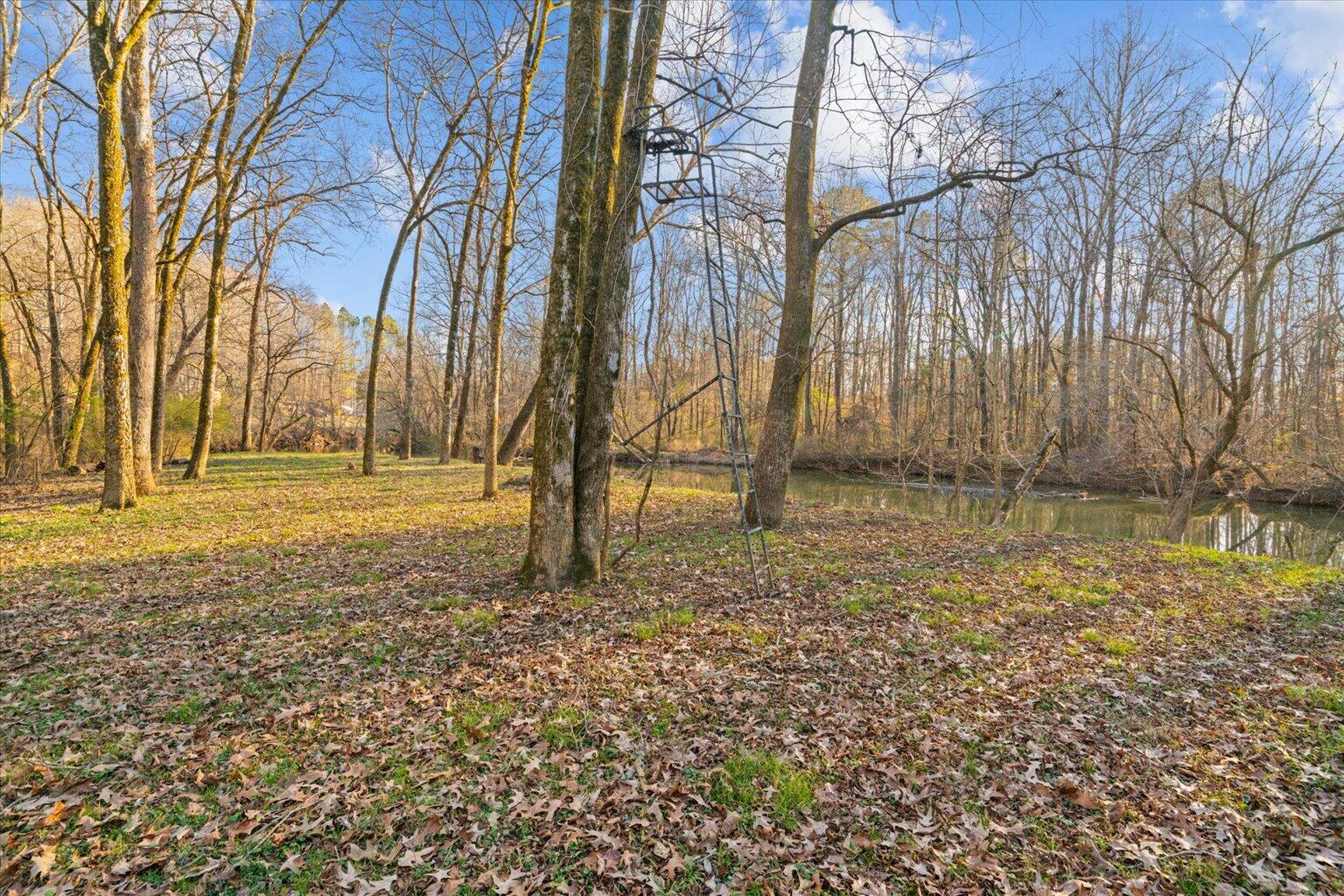 0 Cherokee Drive Northeast Dalton, GA 30721 - Photo 18 of 36 18-DSC03881