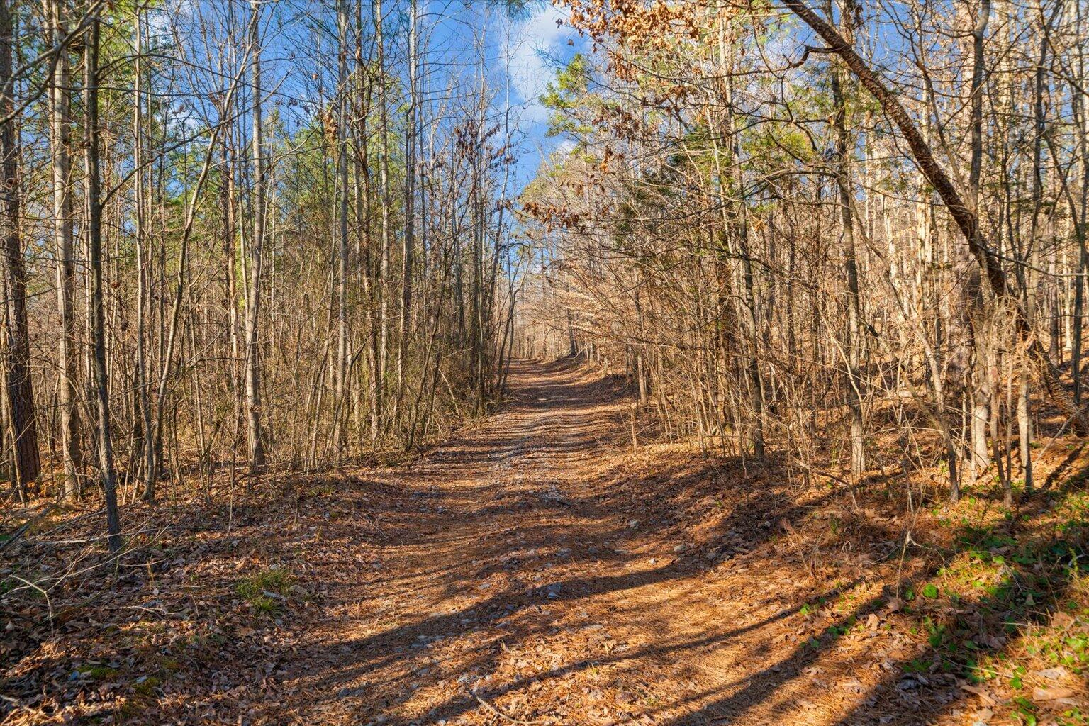 0 Cherokee Drive Northeast Dalton, GA 30721 - Photo 8 of 36 08-DSC03781