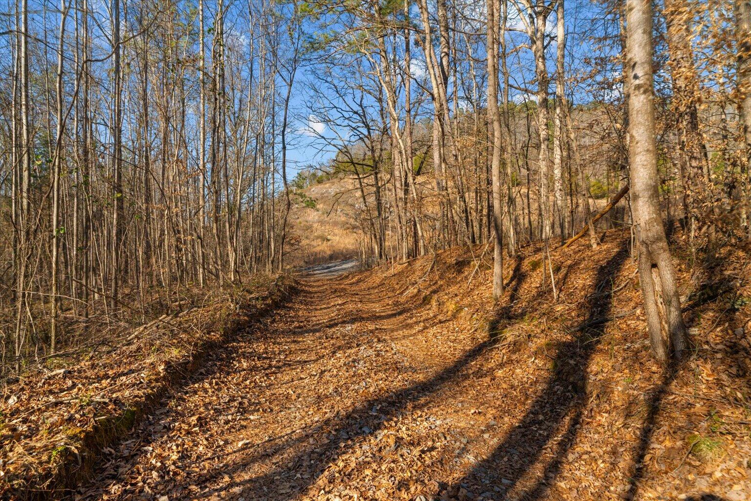 0 Cherokee Drive Northeast Dalton, GA 30721 - Photo 10 of 36 10-DSC03796