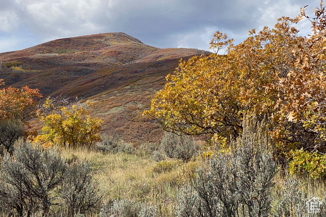 Undisclosed Address Midway, UT 84049 - Photo 6 of 28 View of mountain backdrop