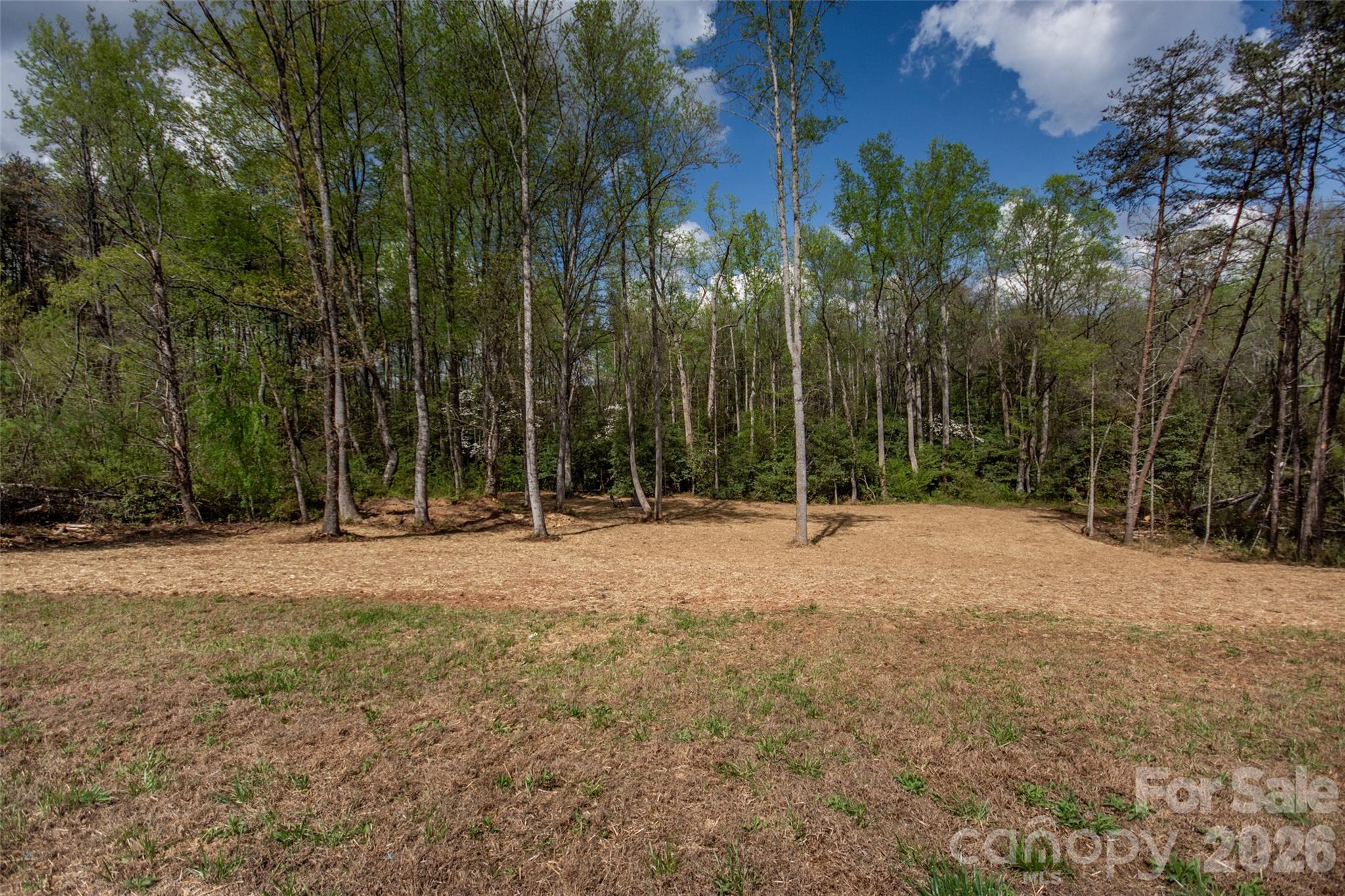 1686 Friendship Road Statesville, NC 28625 - Photo 34 of 41