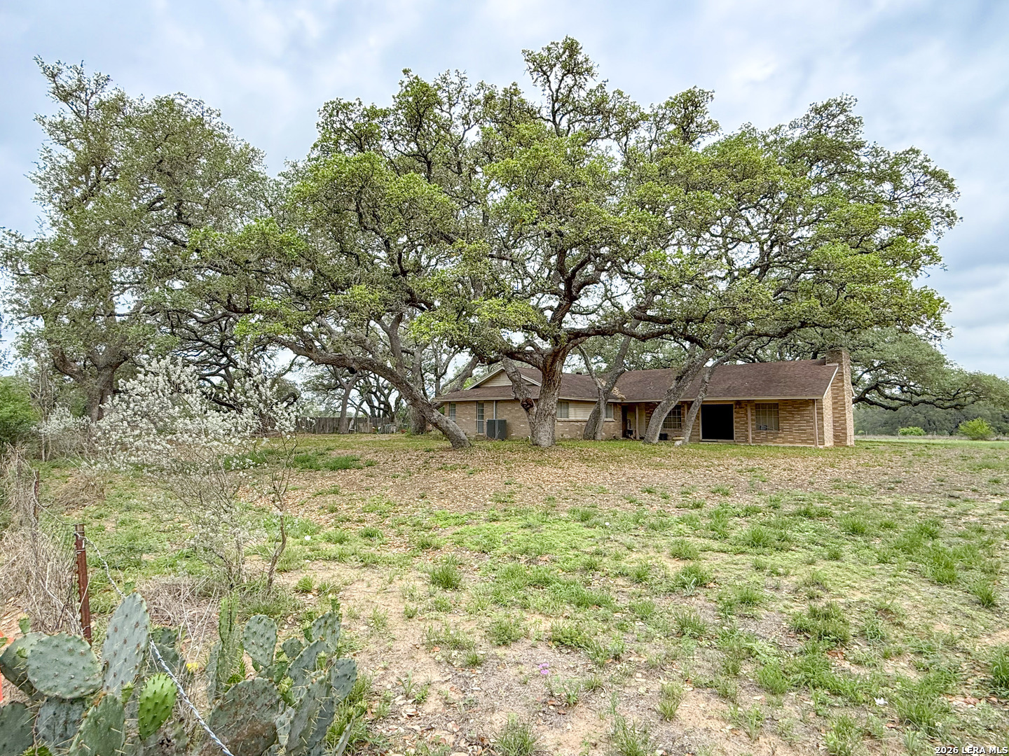 175 Private Road 7744 Devine, TX 78016 - Photo 1 of 24