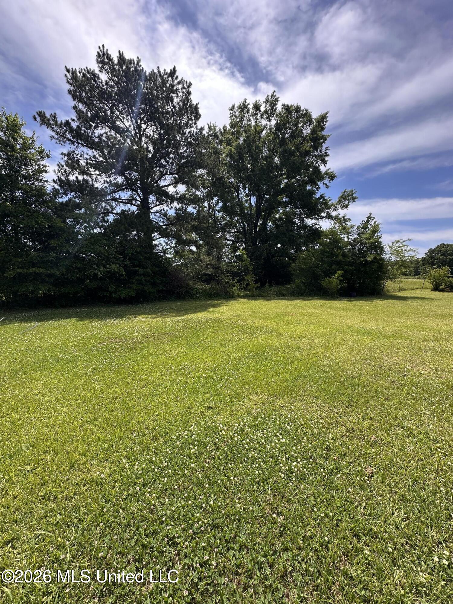 377 Hall Road Forest, MS 39074 - Photo 13 of 13 IMG-3373