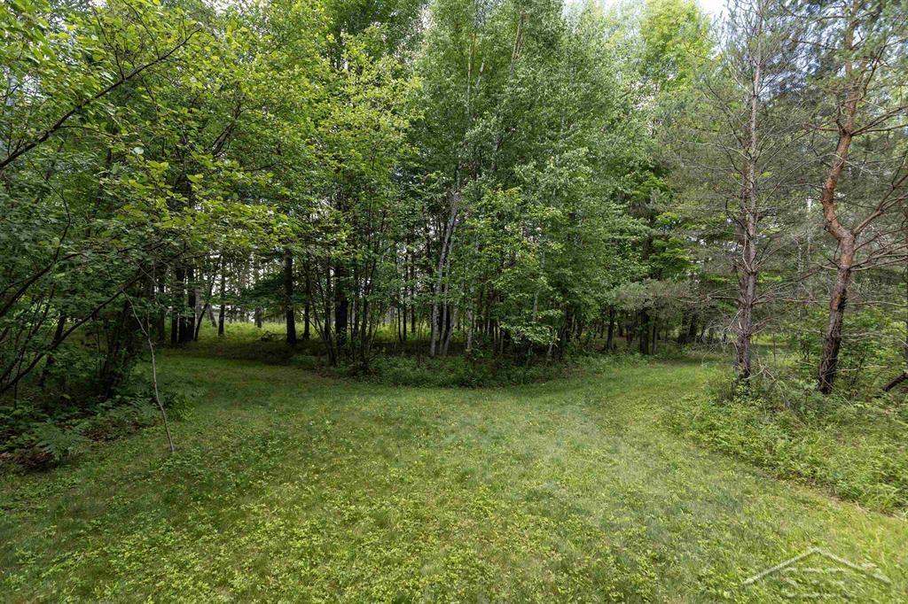 2202 West Huckleberry Road Sanford, MI 48657 - Photo 49 of 64