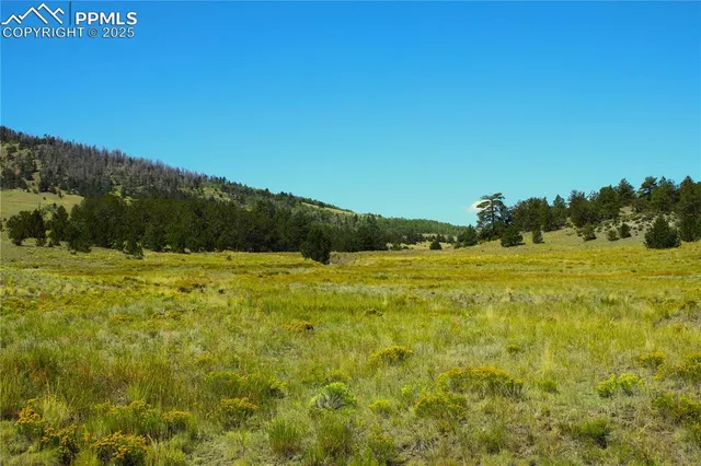 a view of a green field