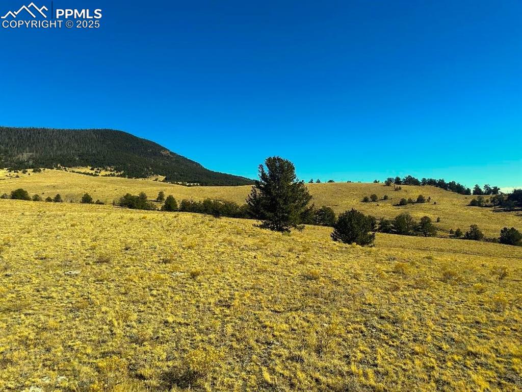 9 Highway 9 Guffey, CO 80820 - Photo 3 of 8 Property view of mountains