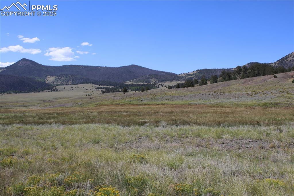9 Highway 9 Guffey, CO 80820 - Photo 6 of 8 View of mountain feature with a rural view