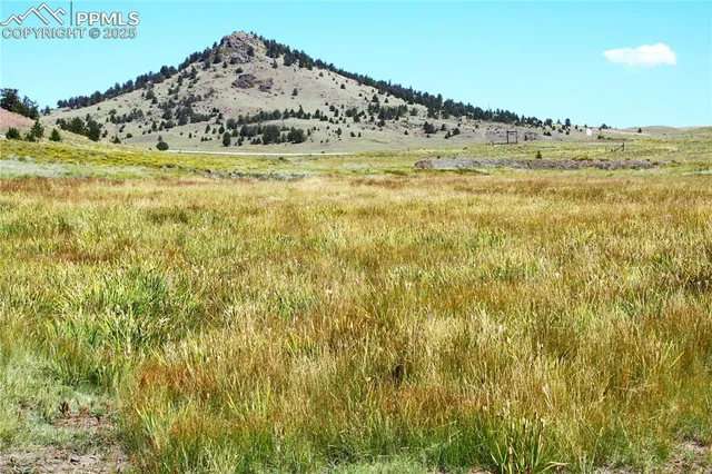 a view of a field with an ocean