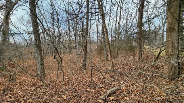 $29,999 | Lot 187 Isleworth Avenue, Lake Ozark, MO 65049