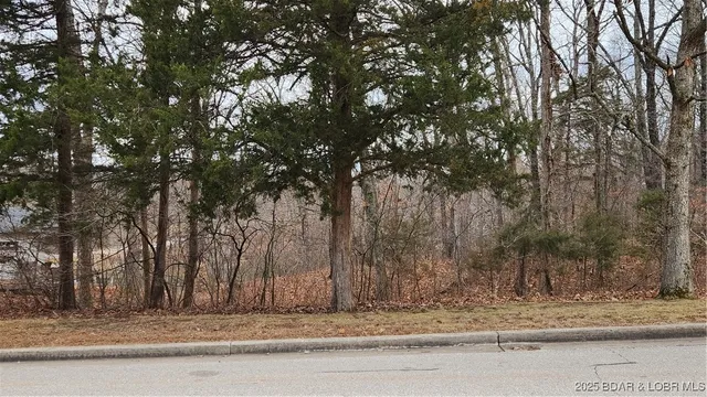 $29,999 | Lot 187 Isleworth Avenue, Lake Ozark, MO 65049
