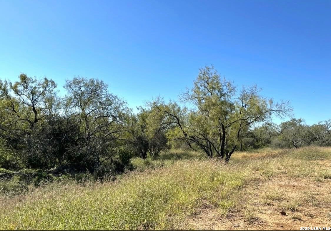 3968 Bluntzer Road Jourdanton, TX 78026 - Photo 38 of 39