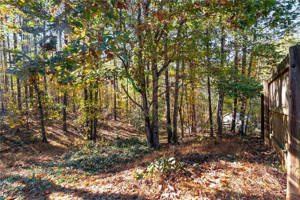204 Red Fox Court Canton, GA 30114 - Photo 45 of 51 a view of outdoor space with lots of trees