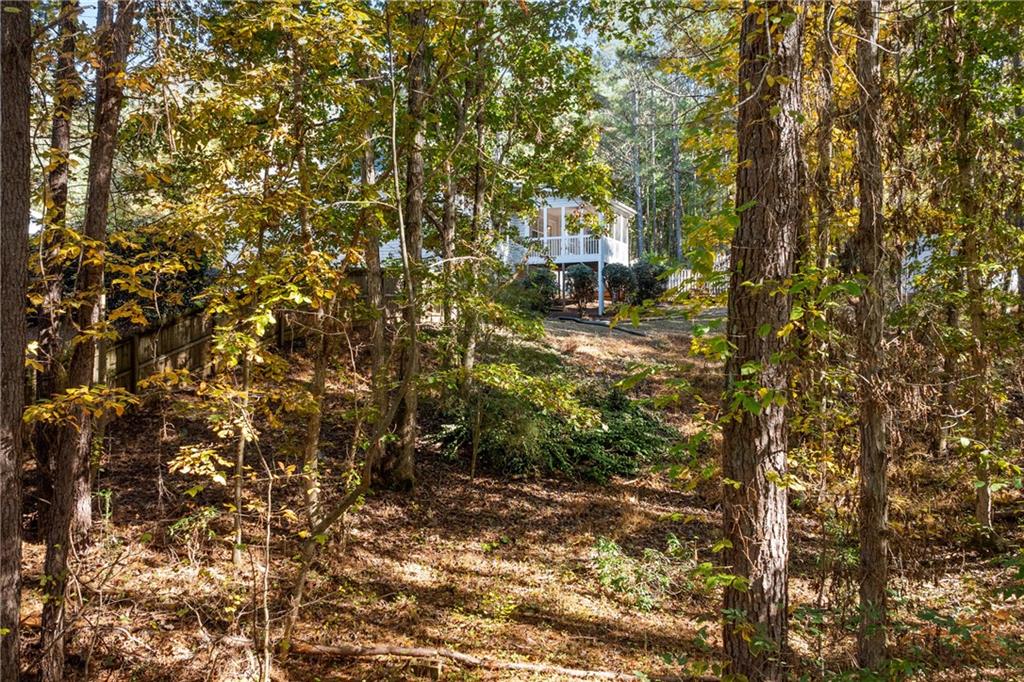 204 Red Fox Court Canton, GA 30114 - Photo 46 of 51 a view of a outdoor space with a street