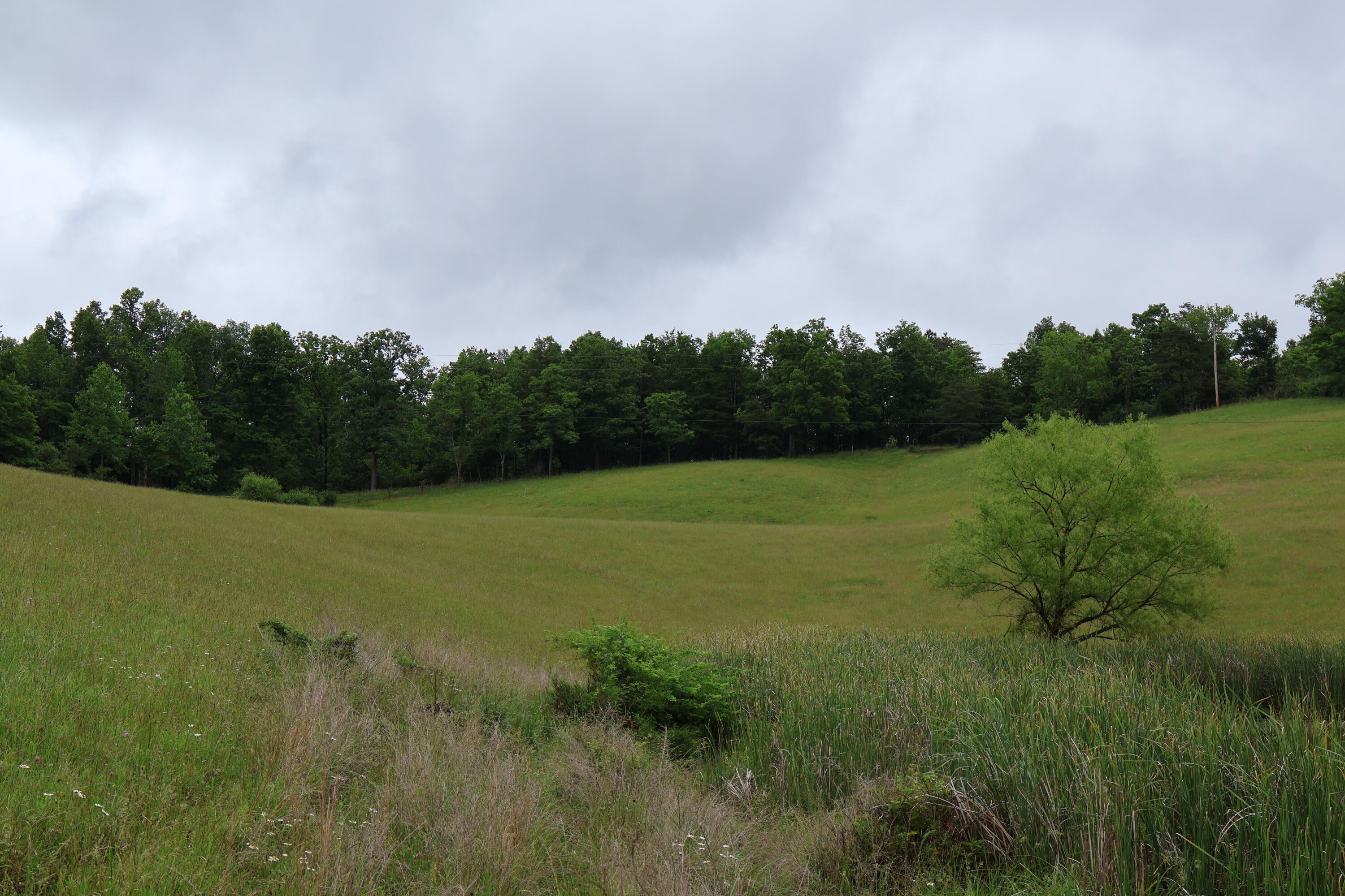 4135 Big Andy Ridge Road, Unit TRACT 1 Rogers, KY 41365 - Photo 7 of 11 Tract 1