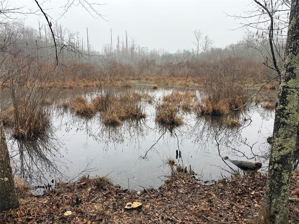 1170 Sleepy Hollow Road Powder Springs, GA 30127 - Photo 4 of 7