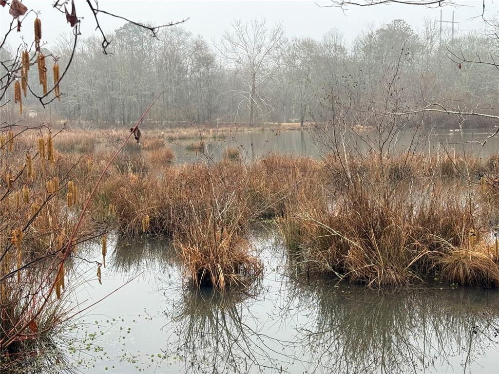 1170 Sleepy Hollow Road Powder Springs, GA 30127 - Photo 5 of 7