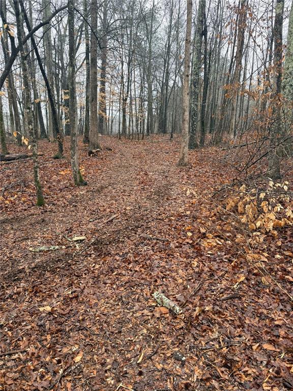 1170 Sleepy Hollow Road Powder Springs, GA 30127 - Photo 6 of 7