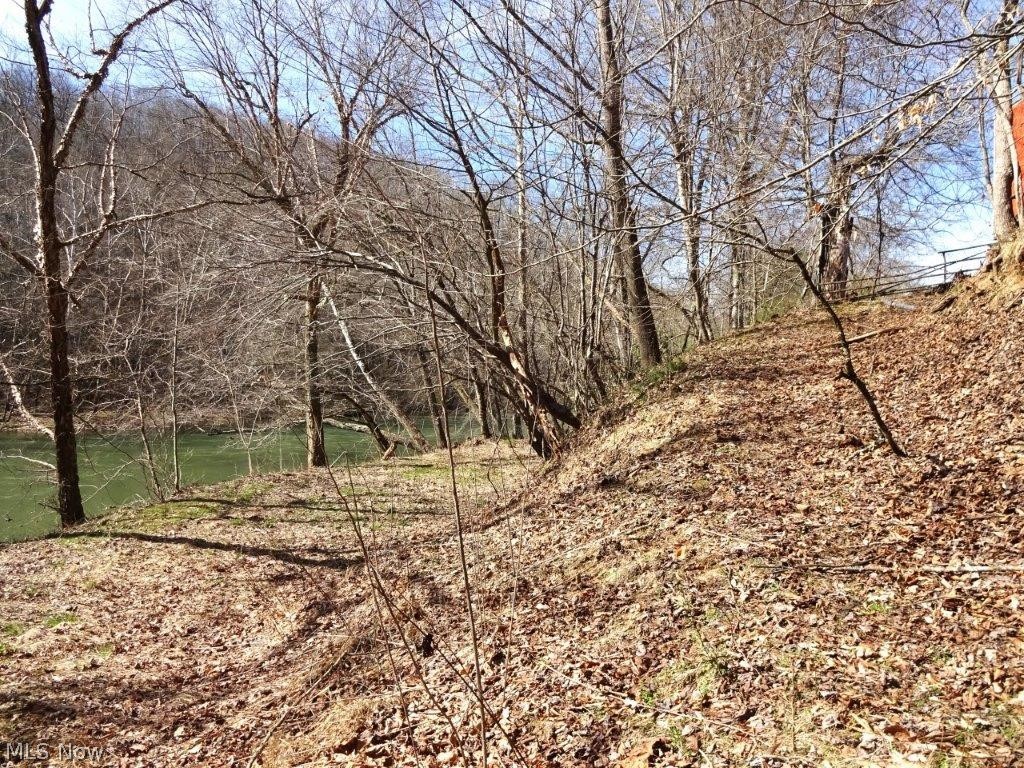 14479 Elk River Road Duck, WV 25063 - Photo 32 of 48