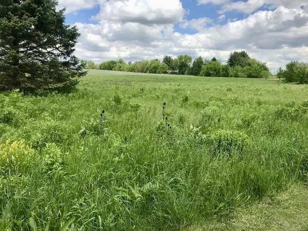 a view of an outdoor space and a yard